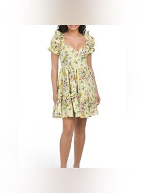 Coquette cottagecore fairy poplin puff sleeve Floral Ruffle-Sleeve Mini Dress s
